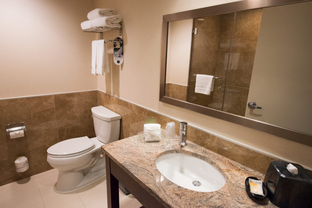 Holiday Inn L.I. City – Manhattan View bathroom